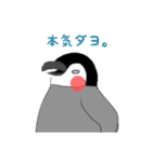 あつまれ！ トリさん（個別スタンプ：12）