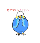 あつまれ！ トリさん（個別スタンプ：37）