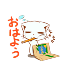 ダンにゃん（個別スタンプ：1）