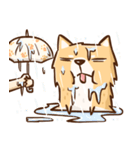 Dog and hand（個別スタンプ：17）