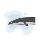 Fish market Fish Man（個別スタンプ：19）