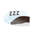 Fish market Fish Man（個別スタンプ：28）