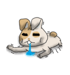 Bastard Bunny（個別スタンプ：26）