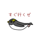 イワトビペンギンさん（個別スタンプ：12）