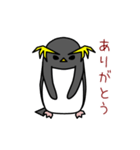 イワトビペンギンさん（個別スタンプ：20）