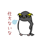 イワトビペンギンさん（個別スタンプ：38）