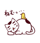 だる猫さん（個別スタンプ：3）