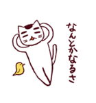 だる猫さん（個別スタンプ：16）