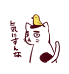 だる猫さん（個別スタンプ：33）