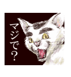 だる猫さん（個別スタンプ：36）