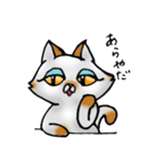 毎日ねこ（個別スタンプ：4）