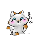 毎日ねこ（個別スタンプ：5）