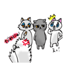 毎日ねこ（個別スタンプ：8）