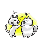 毎日ねこ（個別スタンプ：10）