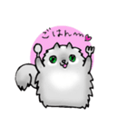毎日ねこ（個別スタンプ：12）