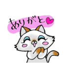 毎日ねこ（個別スタンプ：14）