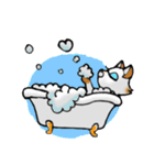 毎日ねこ（個別スタンプ：18）