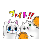 毎日ねこ（個別スタンプ：24）