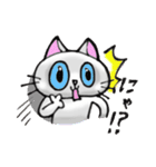 毎日ねこ（個別スタンプ：36）