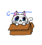 毎日ねこ（個別スタンプ：40）