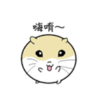 Daily Life of Littlehamster（個別スタンプ：1）