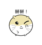 Daily Life of Littlehamster（個別スタンプ：2）