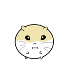 Daily Life of Littlehamster（個別スタンプ：5）
