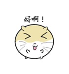 Daily Life of Littlehamster（個別スタンプ：12）