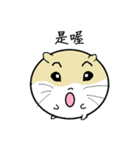 Daily Life of Littlehamster（個別スタンプ：17）