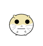 Daily Life of Littlehamster（個別スタンプ：20）