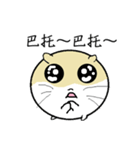 Daily Life of Littlehamster（個別スタンプ：21）
