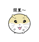 Daily Life of Littlehamster（個別スタンプ：22）