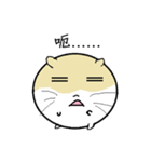 Daily Life of Littlehamster（個別スタンプ：29）