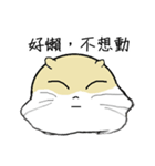 Daily Life of Littlehamster（個別スタンプ：30）