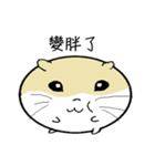 Daily Life of Littlehamster（個別スタンプ：33）