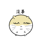 Daily Life of Littlehamster（個別スタンプ：35）