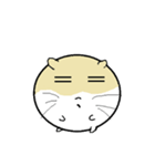 Daily Life of Littlehamster（個別スタンプ：37）
