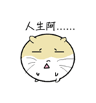 Daily Life of Littlehamster（個別スタンプ：38）