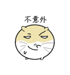 Daily Life of Littlehamster（個別スタンプ：40）