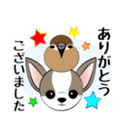 犬ネコ小鳥からの伝言（個別スタンプ：22）