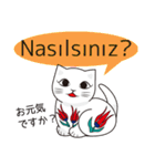 トルコの陶器猫（個別スタンプ：3）