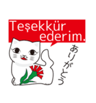 トルコの陶器猫（個別スタンプ：7）