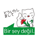 トルコの陶器猫（個別スタンプ：8）