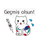 トルコの陶器猫（個別スタンプ：14）