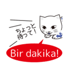 トルコの陶器猫（個別スタンプ：20）