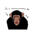 猿とバナナ2（個別スタンプ：25）