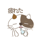 猫のミーケ（個別スタンプ：31）