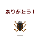 ピクワガタ メス（個別スタンプ：16）