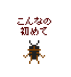ピクワガタ メス（個別スタンプ：38）