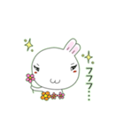白いウサギのチロちゃん ver.2（個別スタンプ：1）